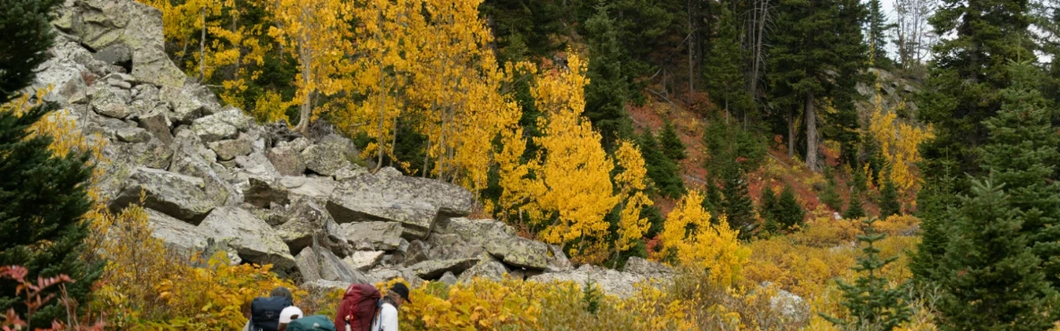 Best Parks, Hiking Trails & Outdoor Activities in Woodland Hills, United States