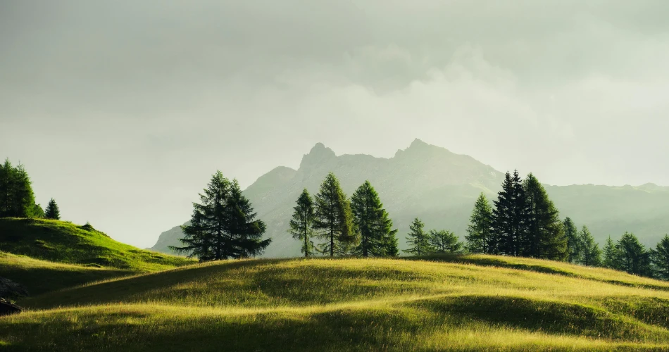 Best Parks, Hiking Trails & Outdoor Activities in Woodland Hills, United States